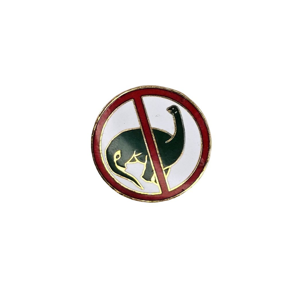 Vintage No Dinosaurs Allowed Pin Brooch